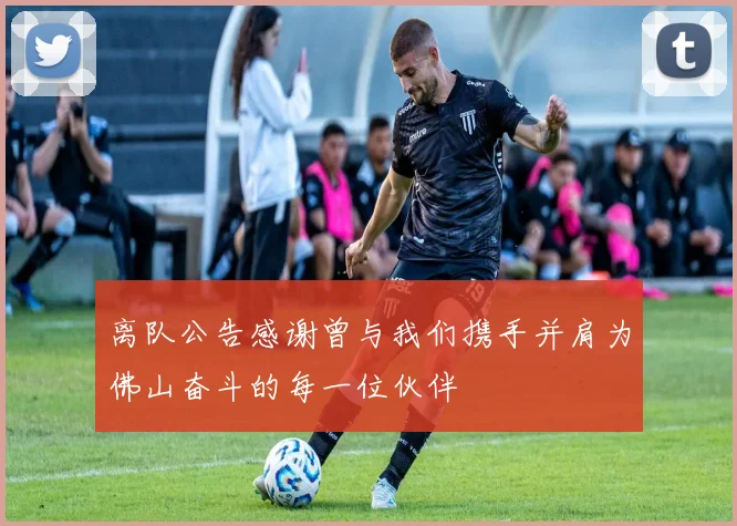 离队公告感谢曾与我们携手并肩为佛山奋斗的每一位伙伴