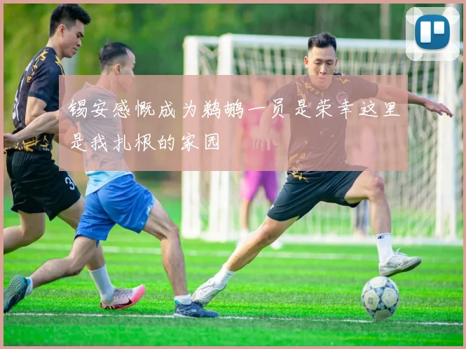 锡安感慨成为鹈鹕一员是荣幸这里是我扎根的家园